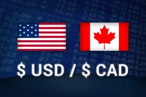 Read more about the article transfer and send money from Canada to US