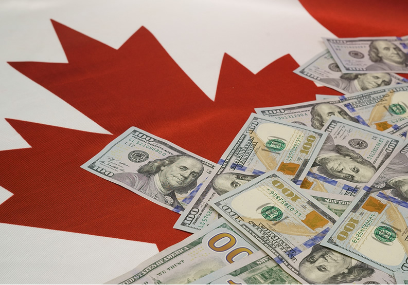 You are currently viewing send and transfer money from Canada to New zealand